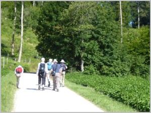 20200701 02 Aufstieg_Irchel.jpg